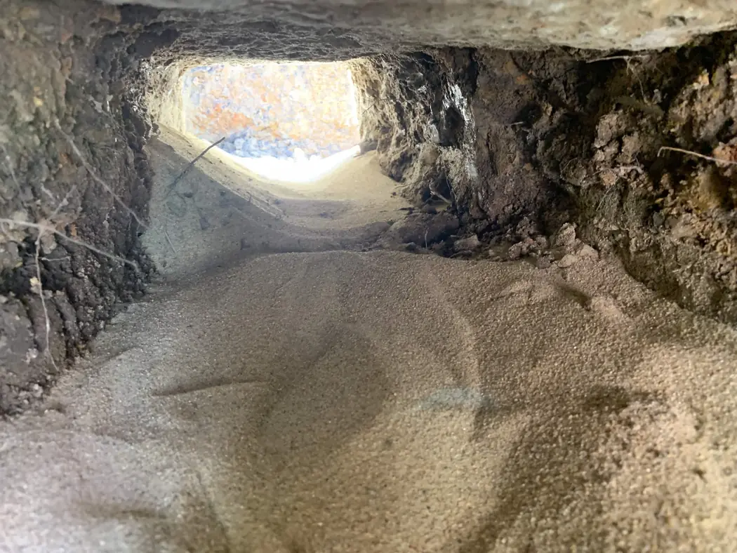 a bore run underneath a concrete path so the footpath did not need to be cut up